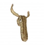 trophy, deer animal head