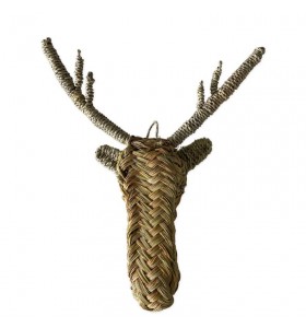 Trophy, gazelle animal head